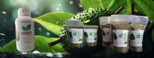 Soursop Leaves