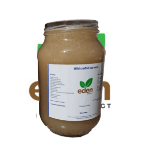 sea moss, chondrus crispus