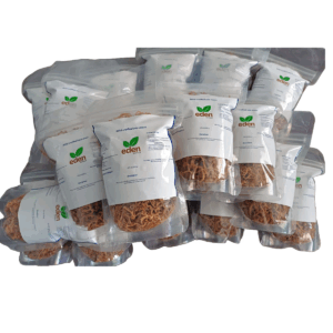 sea moss, chondrus crispus