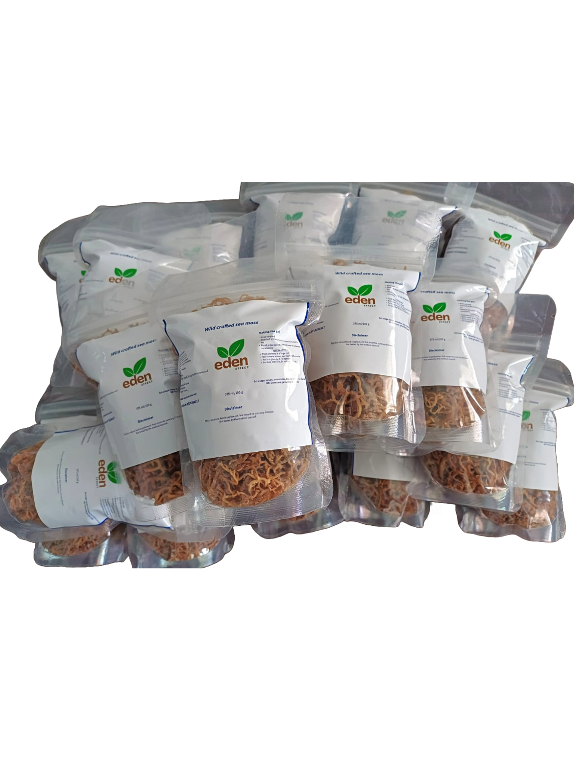 sea moss, chondrus crispus