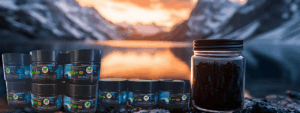 Himalayan Shilajit